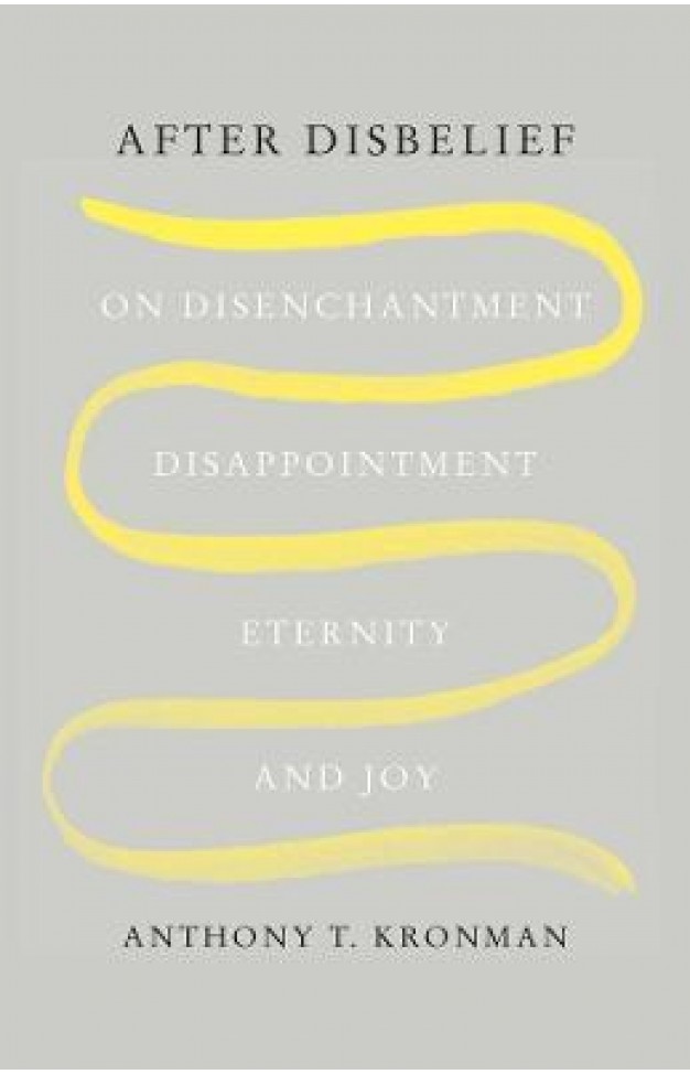 After Disbelief - On Disenchantment, Disappointment, Eternity, and Joy